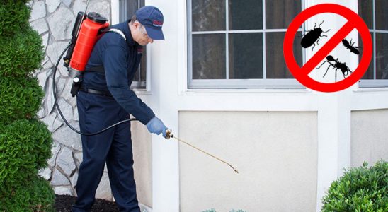 Ayancık Hamam Böceği İlaçlama böcek ilaçlama ve haşere kontrolü — ilaclama-tr.com